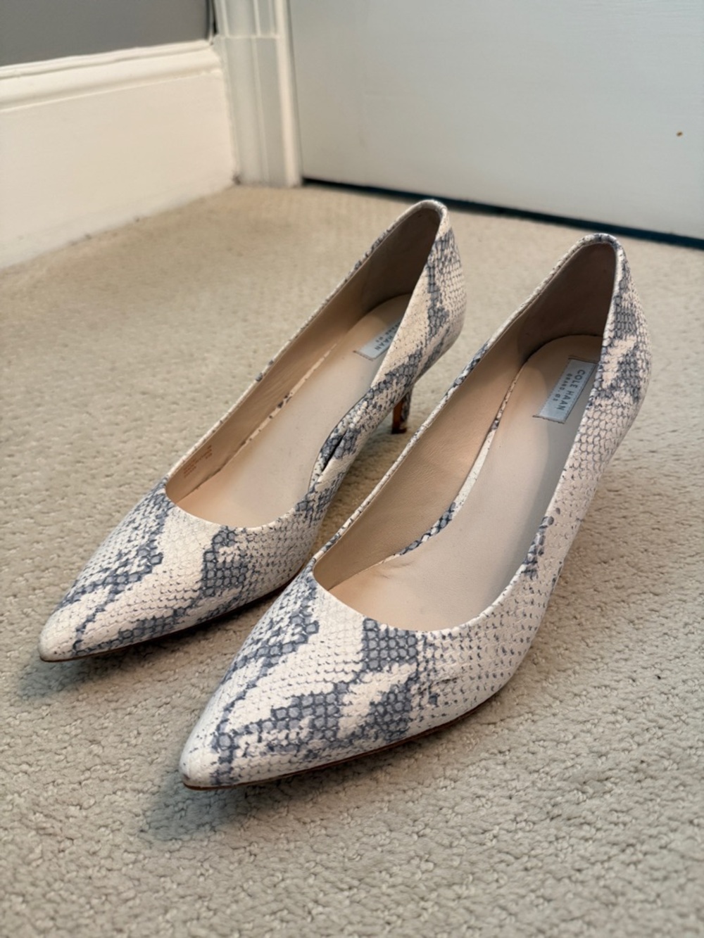 Cole Haan Snakeskin Pumps | size 9